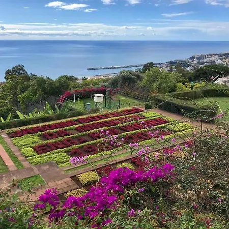 Lägenhet Sol & Mar Rancho Câmara de Lobos