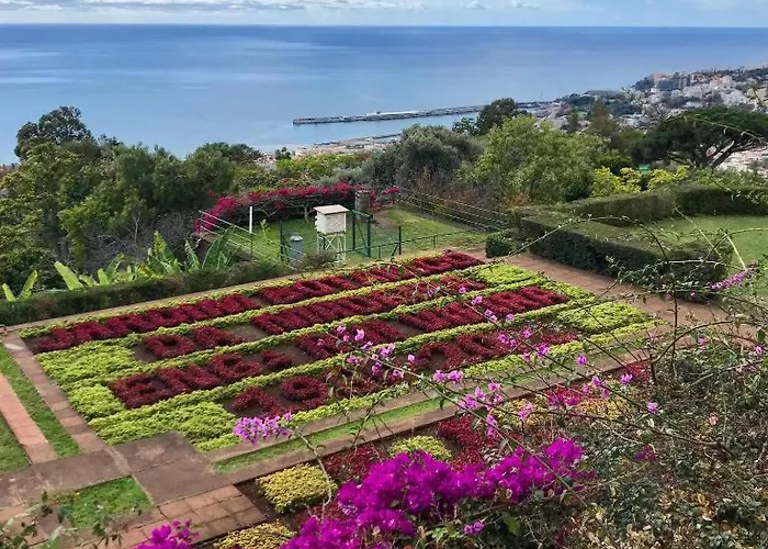 Daire Sol & Mar Rancho Câmara de Lobos
